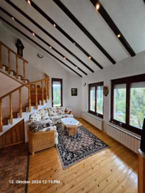 Villa Dilyanka Stokite